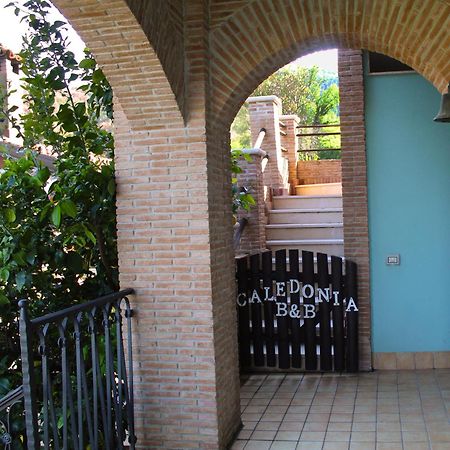 Caledonia B&B 梅尔卡托圣塞韦里诺 外观 照片